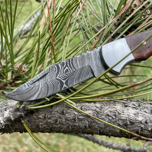 Pocket Knife Walnut Wood & Stag 6.5'' Damascus Steel