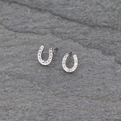 Horseshoe Rhinestone Post Earrings